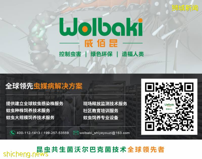 新加坡投放攜帶沃爾巴克菌雄蚊對抗登革熱