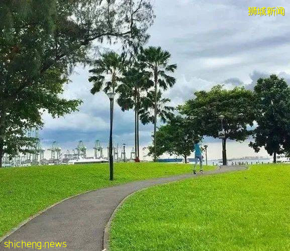 西海岸将加建40个绿化设施,其中包括自然连道和社区花园