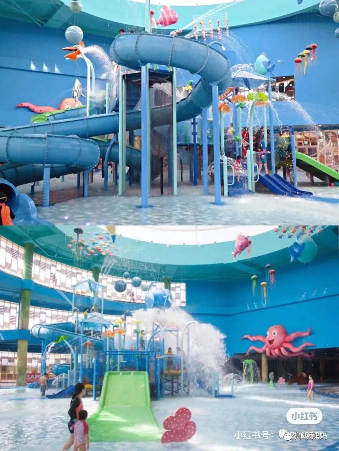 过瘾!网红咖啡厅、LV货柜、老字号烧烤……带你深挖最IN的新加坡