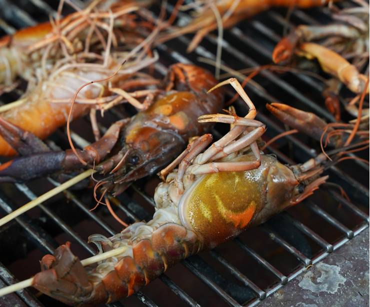 新加坡國民娛樂新玩法,養生釣蝦約不約