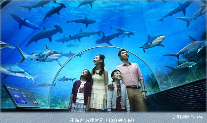 QQ截图20140703153102