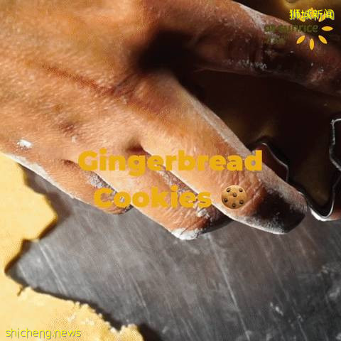 抢位!上次抢光了的新加坡圣诞节亲子活动,又开新的名额啦