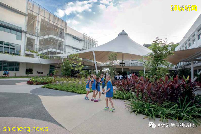 新加坡國際學校IB成績彙總（2021.5）