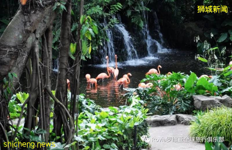 獅城之國——新加坡!