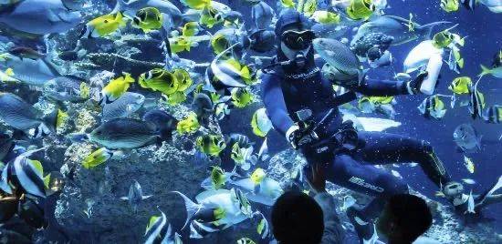 遛娃胜地新加坡!盘点那些让娃流连忘返的主题乐园