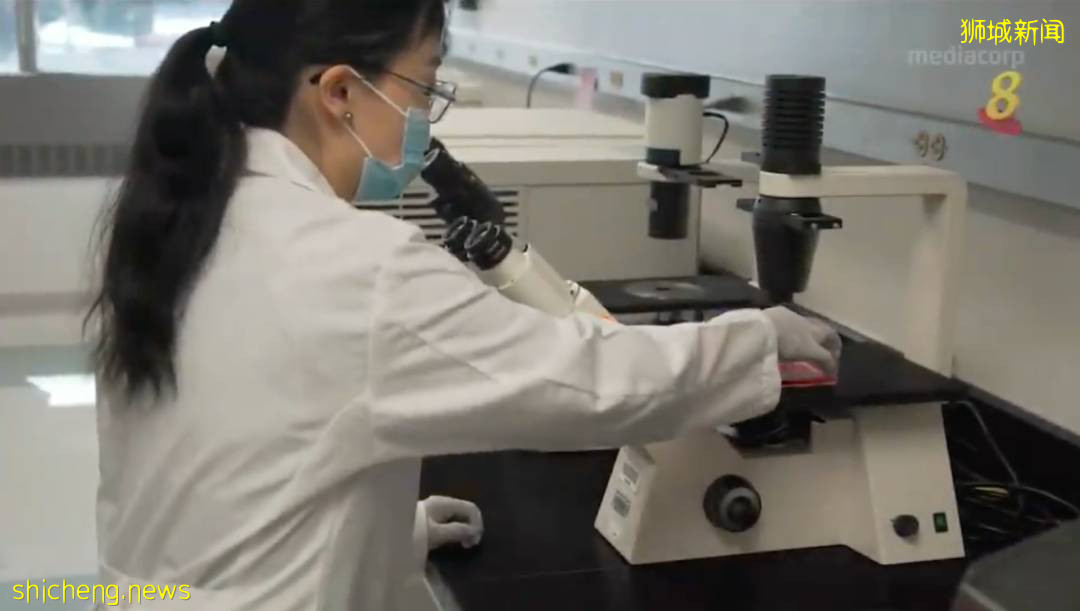 连续3天破3000!新加坡小学生下周返校,教育部长解释原因