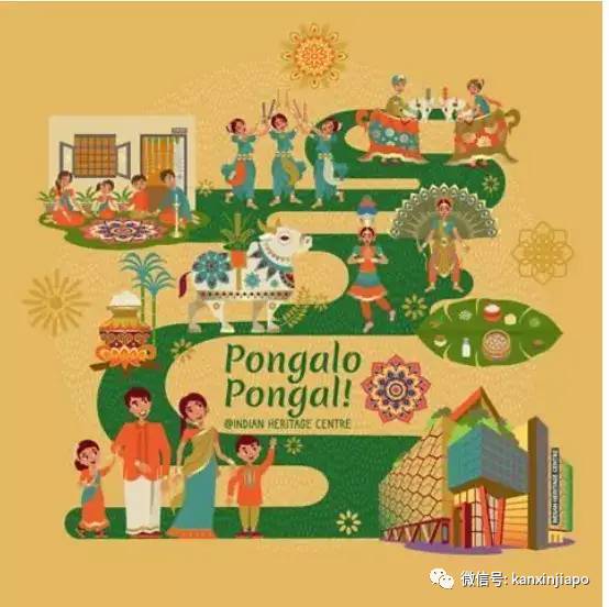 新加坡也过“丰收节”,地道印度族风情就近体验指南