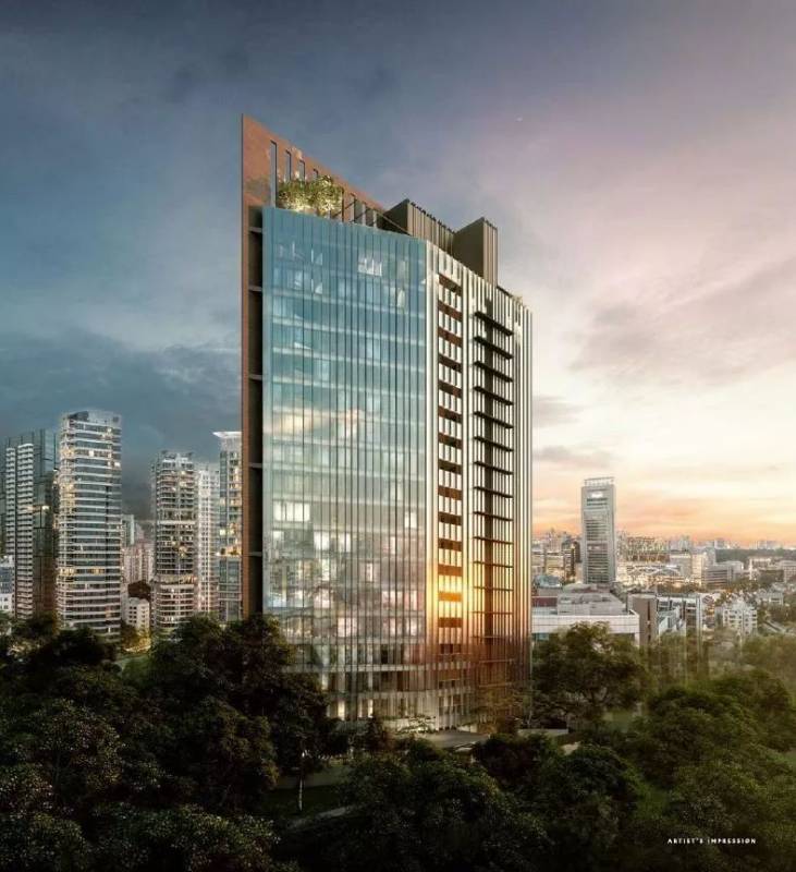 新加坡“ The Iveria ”