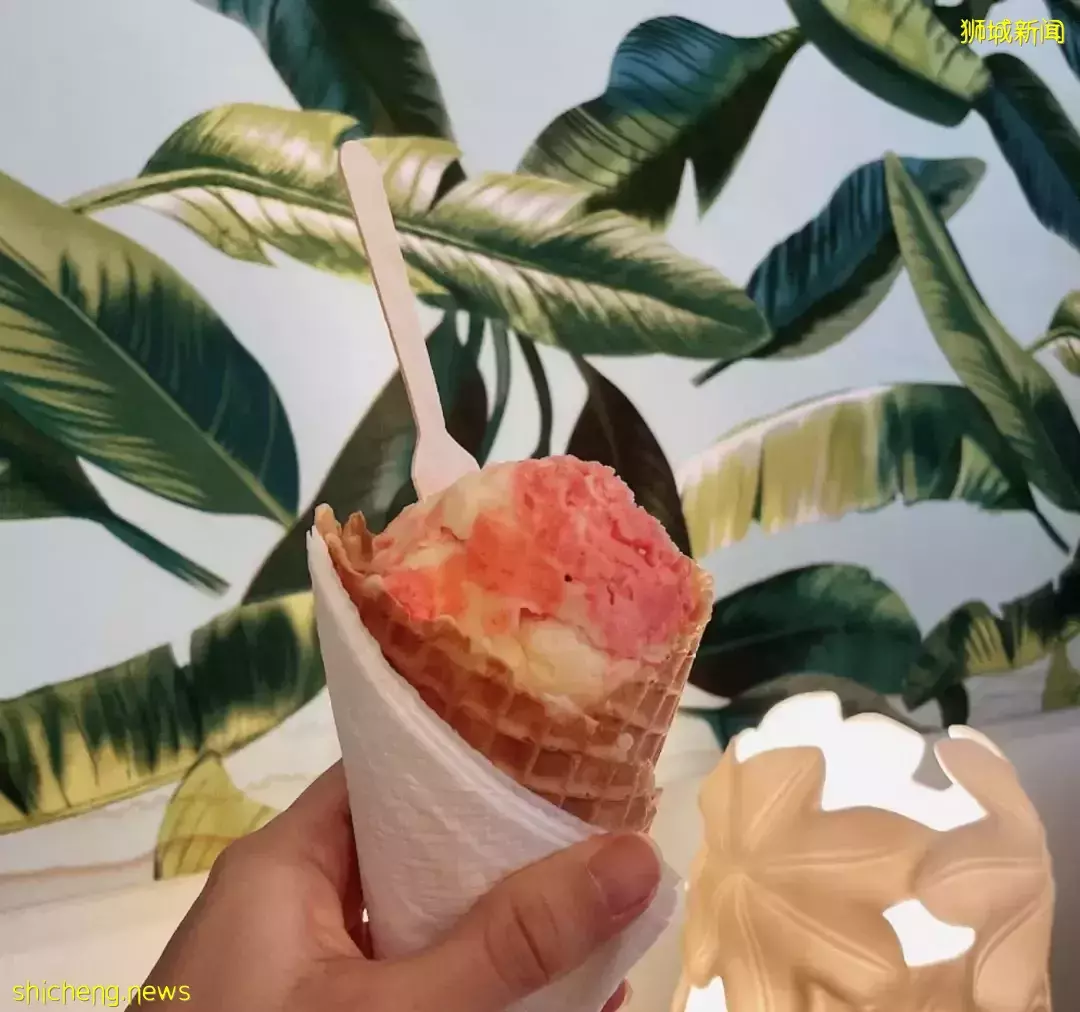 $3.8起,12家火遍全網的意式冰淇淋店,高顔值又好吃