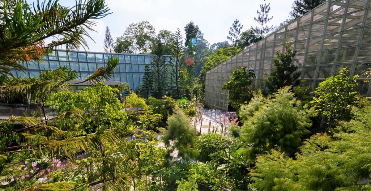 4月份吃喝玩樂合集🎊 超多好康福利等著你！大型國花展免費入場、美食優惠、全新樂園登場🤩