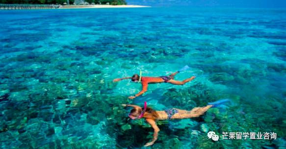 新加坡超人气民宿