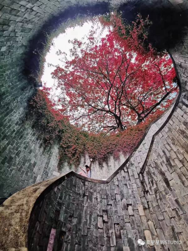 必去！新加坡小众ins网红景点福康宁"树洞"