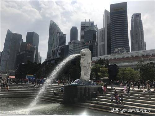 新加坡各类签证详析-wp、sp、pr、ep