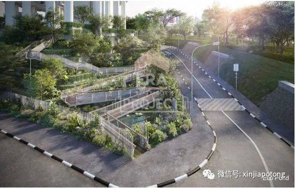 新币兑人民币暴跌!听说这几天入境新加坡的中国“游客”,可能是为了这件事