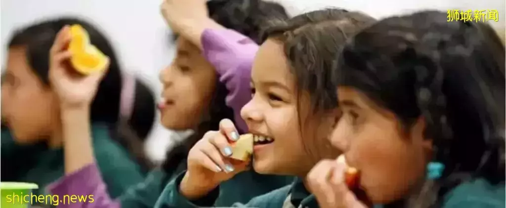 隐身6年、半夜做饭、家有两个老婆......我的新加坡邻居们的神奇故事