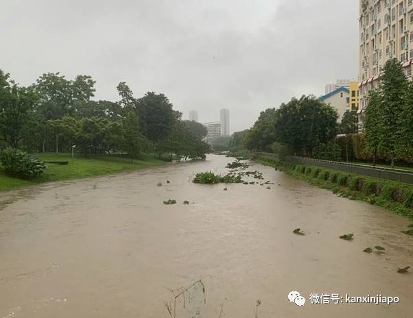 晴天大草原,暴雨成黄河!一场豪雨秒懂新加坡排水系统