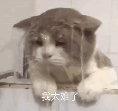 “窮到食閣都吃不起！”物價猛漲，新加坡政府這回終于出手了