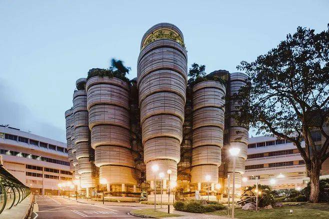 留學專業怎麽選？新加坡大學熱門專業盤點