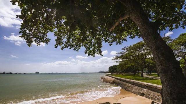 新加坡10个最美公园告诉你,花园城市有多美