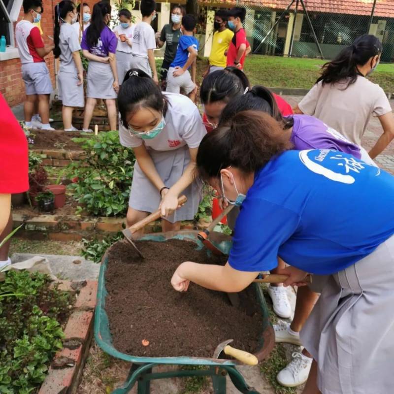 種水稻，摘蘑菇，新鮮蘆荟飲品！藏在新加坡的7大蔬菜農場我找到啦