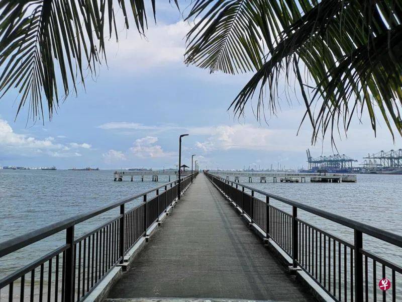 走!一起到拉柏多公园享受森林浴