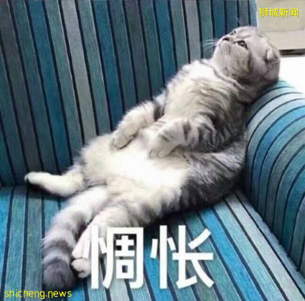 新加坡最香蛋糕，你吃過嗎