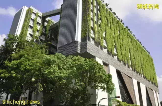 再創佳績！2012新加坡“新空下”歌謠比賽，新加坡藝術學院學生代表奪冠