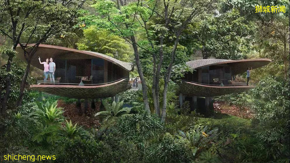 原来这十个“洋品牌”,竟然都是新加坡籍