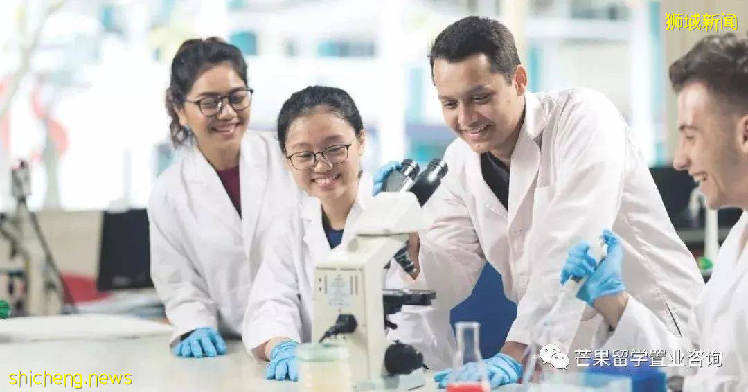 高級珠寶設計專業、教育學碩士:MDIS高薪專業了解一下