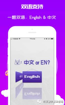 中國駕照如何轉換新加坡駕照？怎樣選擇合約機最省錢