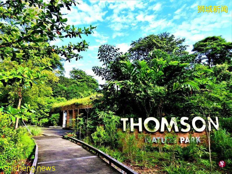 当年，郁达夫和徐悲鸿都在此处品尝味道类近荔枝的红毛丹，还双双留诗；一文了解新加坡汤申自然公园最具备文化内涵的地段