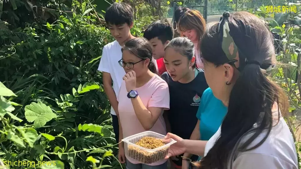 2022新加坡遺産節回歸！更豐富更好玩，5月的四個周末都有精彩安排