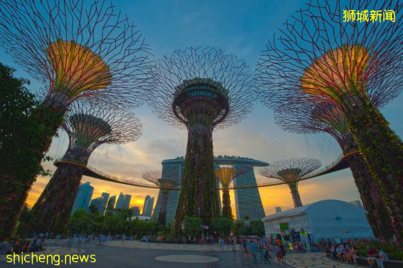 這樣的新加坡真是待不下！去！了