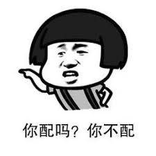 不知道這些,千萬別在新加坡養動物!