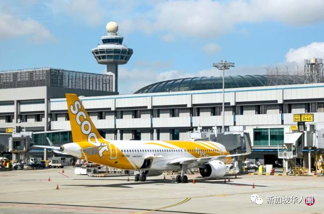 最新!新加坡10月和11月回国航班汇总!酷航逐步恢复20多国航线