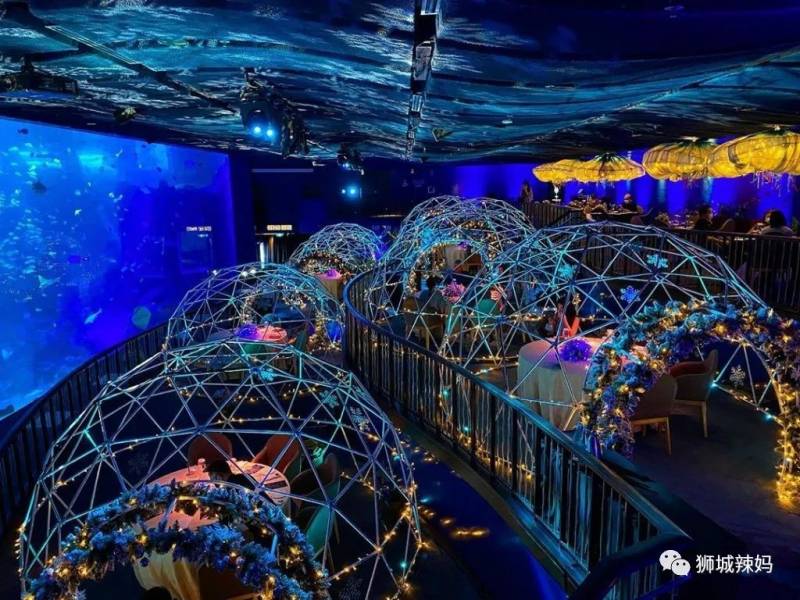 新加坡10間特色主題餐廳！哈利波特、愛麗絲、DC、雙子星就等你來打卡啦