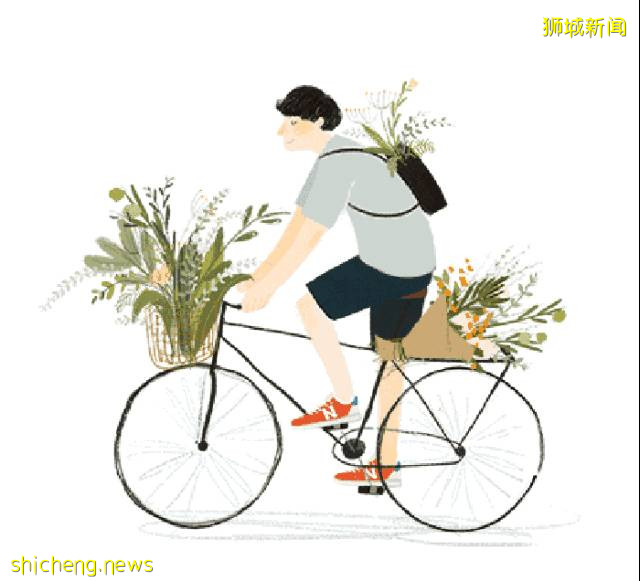 當騎行遇上新加坡,體驗獅城的無限魅力