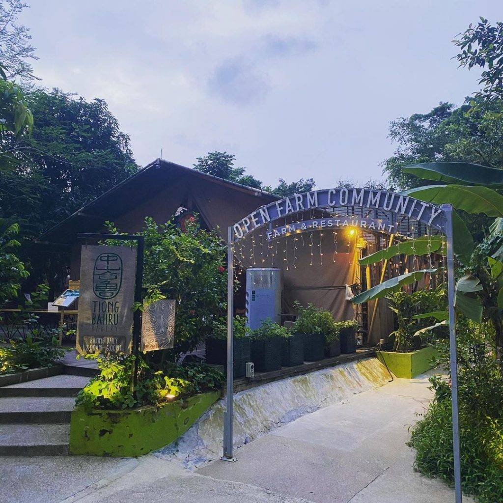 长周末特辑😎 新加坡文艺清新小农场,统统入场免费🆓 人烟稀少区 + 参观不收费