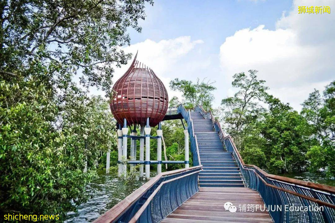 跟着小筠去游“新马”——新加坡吃喝玩乐(中篇)