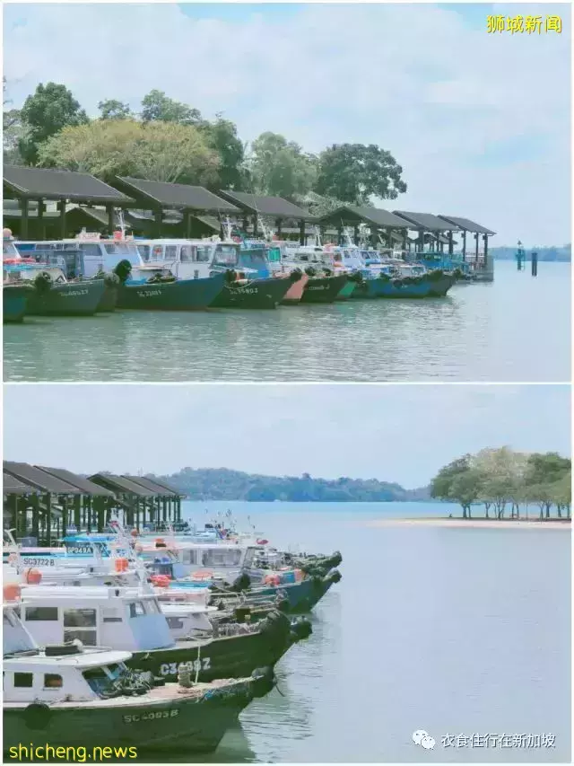 这几个海滩性价比很高,真的不了解一下吗