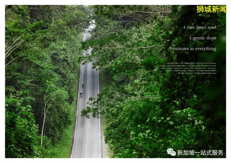 新加坡大學優勢和申請新