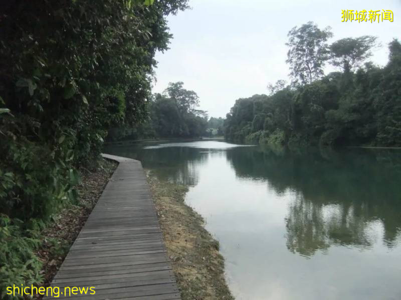 來新加坡玩刺激,一定不能錯過麥裏芝!