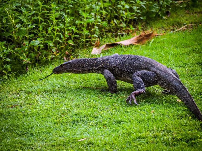 每一張都是 Ins 大片！這樣的新加坡你見過嗎