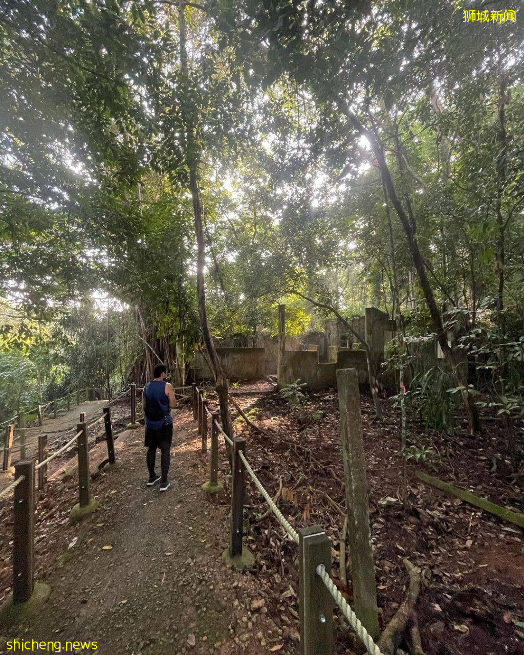 结合自然+文化遗产、汤申自然公园攻略🔎5条徒步路线、可以看到海南村旧建筑+珍稀动物🐒