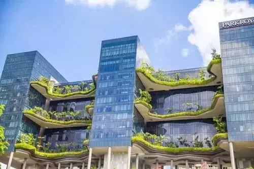 移民熱潮——新加坡成首要選擇