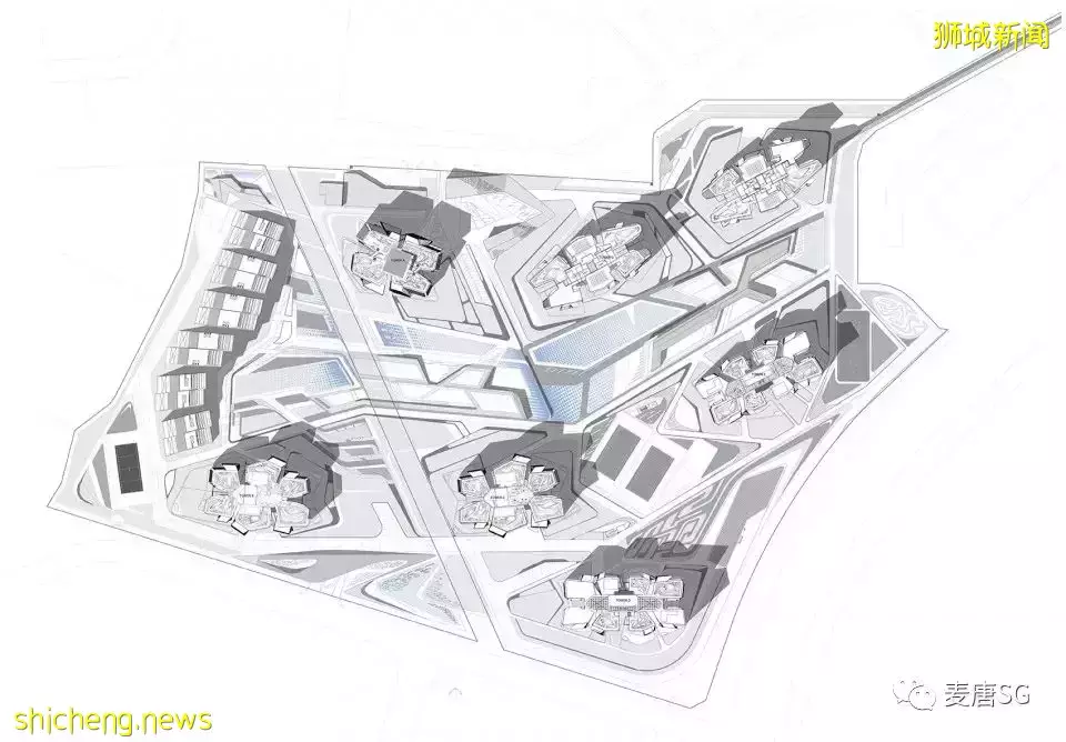 移民專題：新加坡學區房