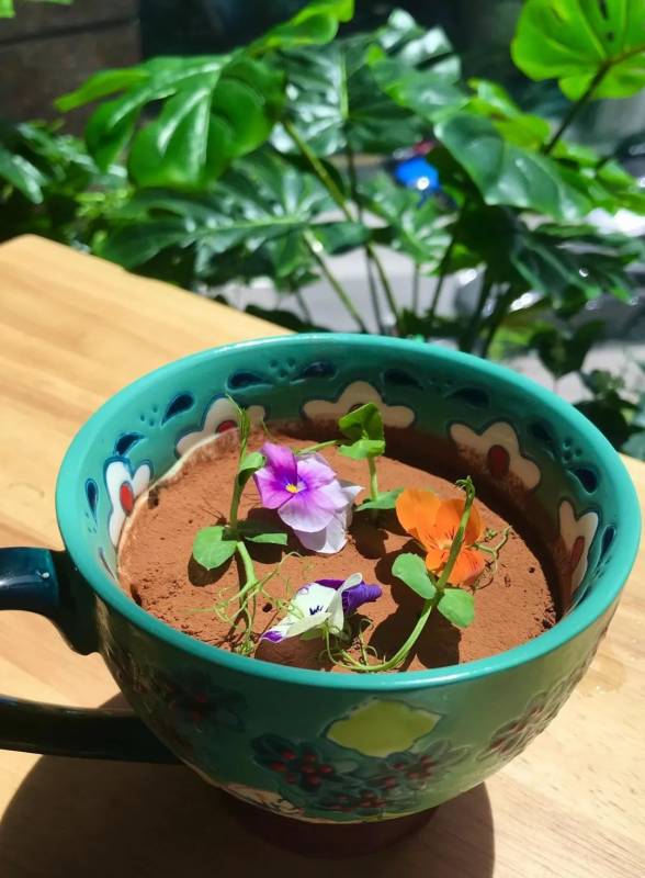 美食博主愛上了皇室禦廚的秘密花園