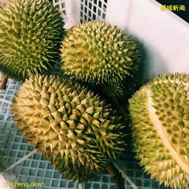 新加坡榴梿全攻略！實拍挑戰芥末和燒烤榴梿！太刺激了