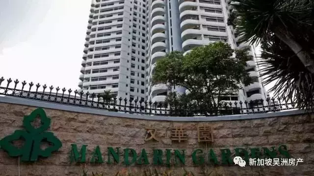 今年新加坡政府售地活動積極樂觀,同時刺激本地集體出售活動