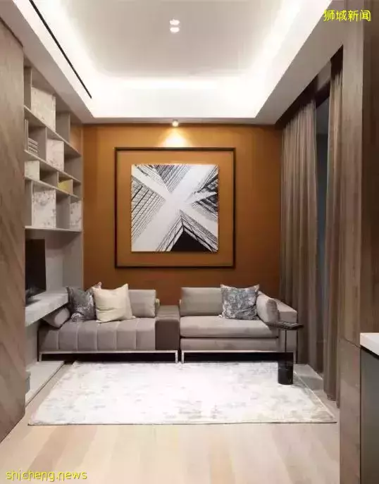 新加坡【D11區】中央核心CBD紐頓永久地契新公寓 10 evelyn【頂級名校學區房】